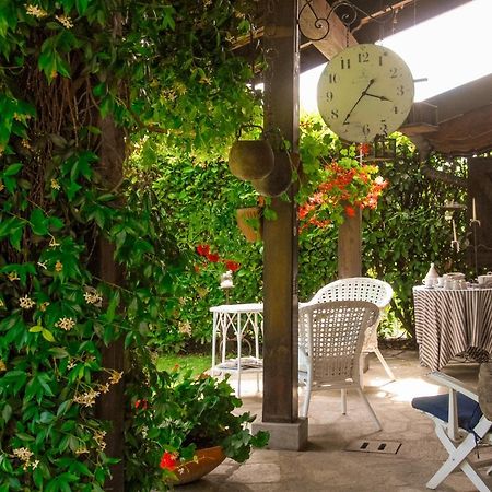 Il Gomitolo Bed and Breakfast Biella Eksteriør billede